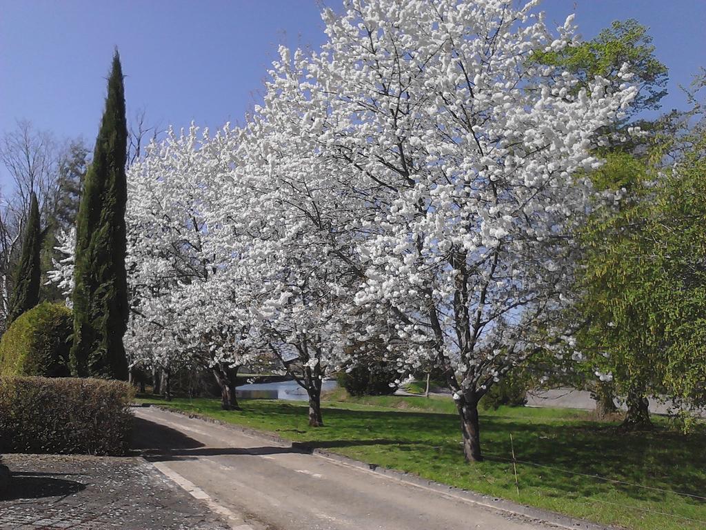 Chateau Du Bourbet Cherval Dış mekan fotoğraf